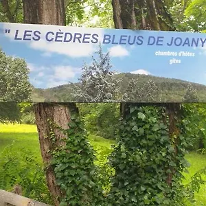 Cedres Bleus De Joany Chez Nathalie Gasthof